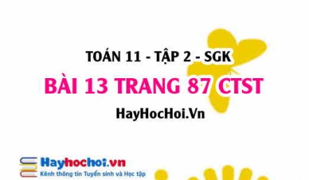 Bài 13 trang 87 Toán 11 tập 2 Chân trời sáng tạo